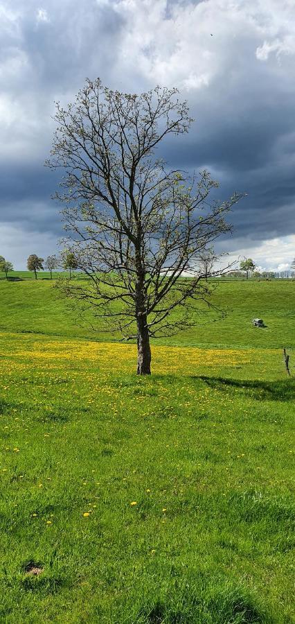 Zum Elleblick Apartment Frauenstein  ภายนอก รูปภาพ