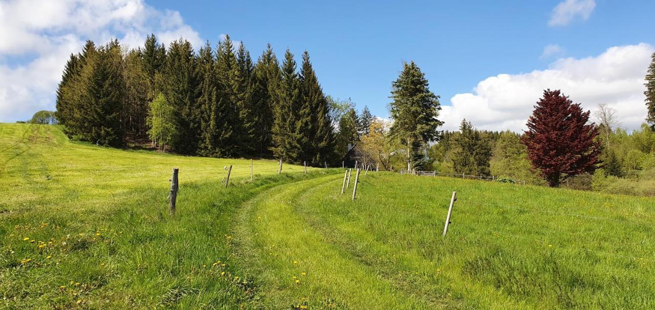 Zum Elleblick Apartment Frauenstein  ภายนอก รูปภาพ