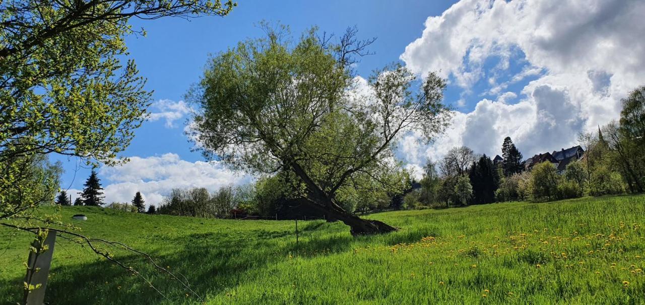 Zum Elleblick Apartment Frauenstein  ภายนอก รูปภาพ