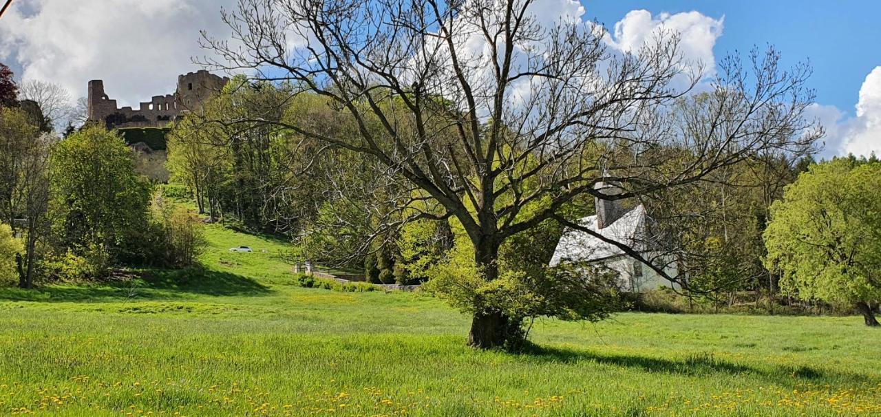 Zum Elleblick Apartment Frauenstein  ภายนอก รูปภาพ