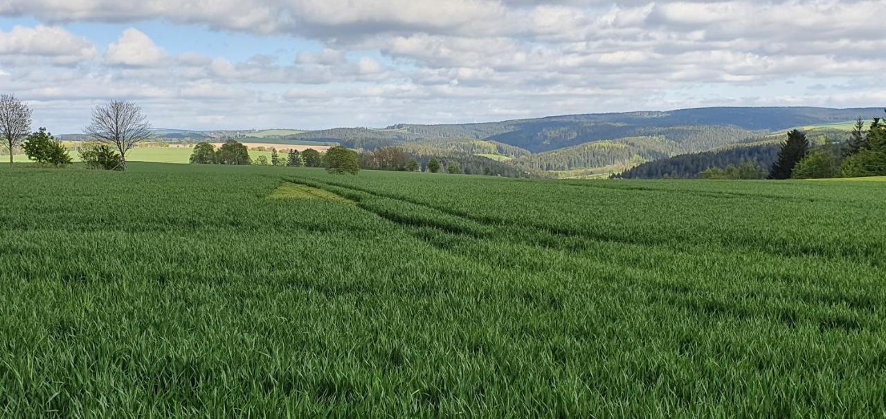 Zum Elleblick Apartment Frauenstein  ภายนอก รูปภาพ
