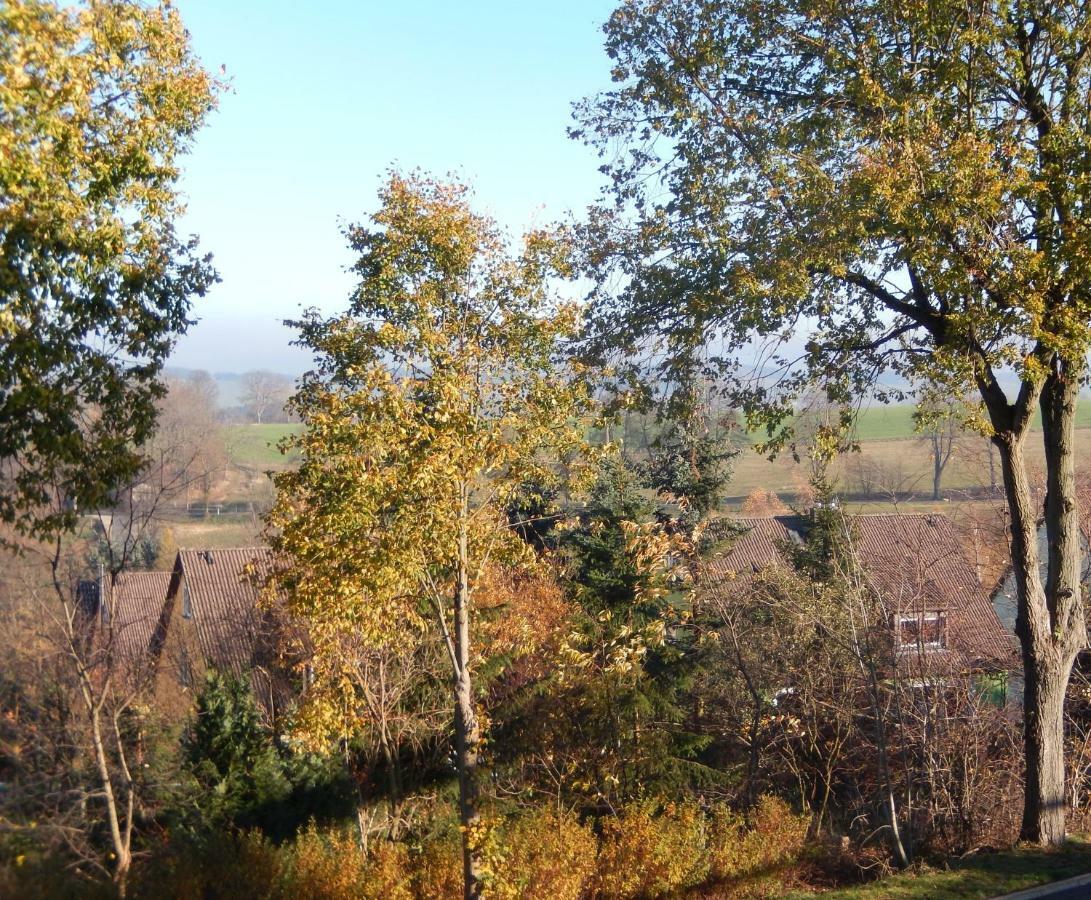 Zum Elleblick Apartment Frauenstein  ภายนอก รูปภาพ